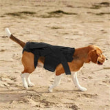 Dog Back Brace for Small Dogs - Adjustable Spinal Stability Brace, Comfortable for Senior or Less Mobile Small Dogs, Black M In Australia - Darrahopens