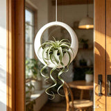 3D-printed circular hanging plant pot, white