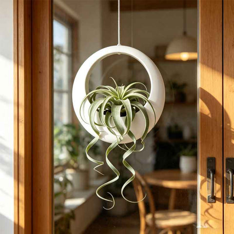 3D-printed circular hanging plant pot, white