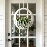 3D-printed circular hanging plant pot, white