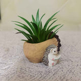 Creative Hedgehog Pinecone Resin Planter, Mini Succulent Pot for Indoor & Outdoor Garden Decor