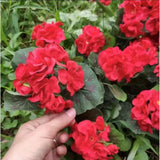 Artificial Flowers Red