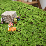 Artificial Moss Turf With Brown Base 100cm×100cm