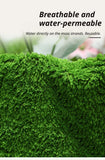 Artificial Moss Turf With Brown Base 100cm×50cm