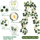 Eucalyptus Rattan - 36 Heads-A