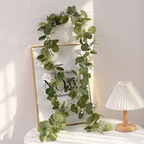 Eucalyptus Rattan-48 Heads Three-forked With Fruits