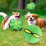 Frisbee Deformation Ball - magenta + 3 Light Version×5