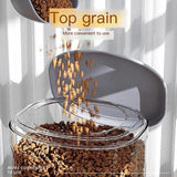 Pet automatic feeder-Blue Feeder