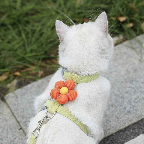 Pet Harness-green+1.2m Leash+Size M