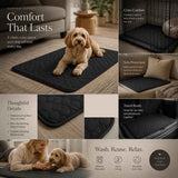 2pcs Black Pet Pad, Size S (50×35cm) In Australia - Darrahopens