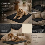 2pcs Black Pet Pad, Size M (60×45cm) In Australia - Darrahopens