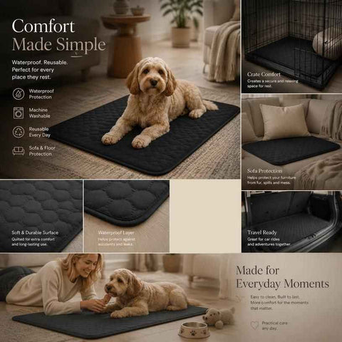 2pcs Black Pet Pad, Size M (60×45cm) In Australia - Darrahopens