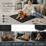 2pcs Black Pet Pad, Size L (70×50cm) In Australia - Darrahopens