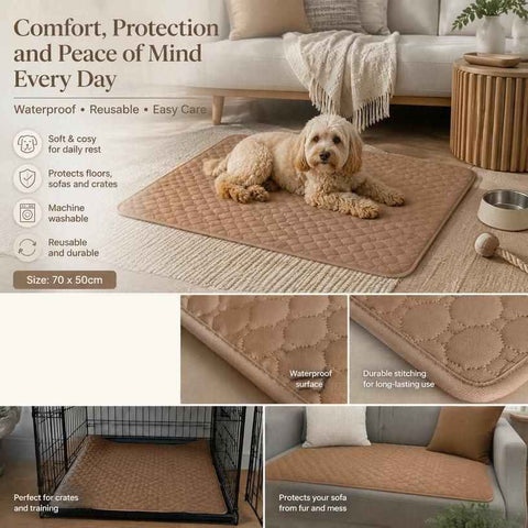 2pcs Coffee Pet Pad, Size L (70×50cm) In Australia - Darrahopens