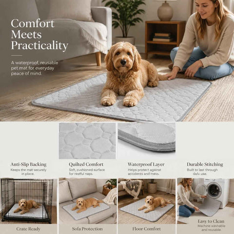 2pcs Grey Ice Silk Pet Pad, Size S (50×40cm) In Australia - Darrahopens
