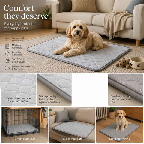 2pcs Grey Ice Silk Pet Pad, Size M (60×50cm) In Australia - Darrahopens