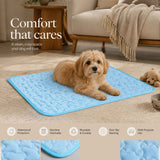 2pcs Blue Ice Silk Pet Pad, Size M (60×50cm) In Australia - Darrahopens