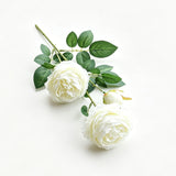 Artificial White French Peony, Soft Decor, 5 Pack In Australia - Darrahopens