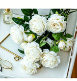 Artificial White French Peony, Soft Decor, 5 Pack In Australia - Darrahopens