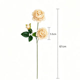 Artificial Champagne French Peony, Gentle Decor, 2 Pack In Australia - Darrahopens