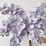 Artificial Oil Painting Phalaenopsis, Light Purple, 3 Pack In Australia - Darrahopens