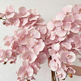 Artificial Oil Painting Phalaenopsis, Bright Pink, 1 Pack In Australia - Darrahopens