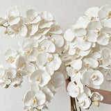 Artificial Oil Painting Phalaenopsis, Jade White, 1 Pack In Australia - Darrahopens