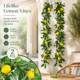 Style A Artificial Lemon Vine Wall Hanging Decor Kit Set of 2 In Australia - Darrahopens