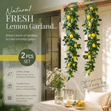 Style B Faux Lemon Garland Balcony Landscape Ornament 2 Pack In Australia - Darrahopens