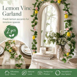 Style A Fresh Scent Lemon Vine Kitchen Decor Kit Set of 2 In Australia - Darrahopens