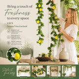 Style B Fresh Scent Lemon Vine Backyard Landscape 2 Pack In Australia - Darrahopens