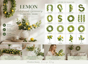 1.75m Spring Lemon Hanging Vine Home Decor Pack of 2 In Australia - Darrahopens