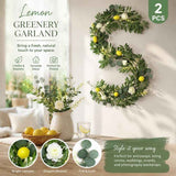Style A Herb Scent Lemon Vine Foam Fruit Garland Pack of 2 In Australia - Darrahopens
