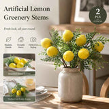 7 Head Herb Lemon Branch Style A Indoor Greenery Kit Set of 2 In Australia - Darrahopens