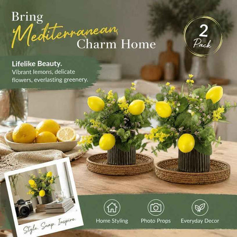 Artificial Lemon Wreath Front Door Hanging Ornament Pack of 2 In Australia - Darrahopens