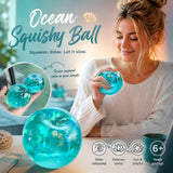 Seashell Apple Shaped Squishy, Unique Dual Design Calming Toy 6cm 3 Pack In Australia - Darrahopens
