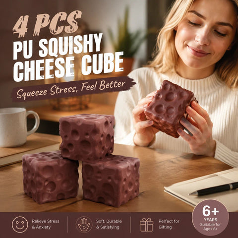 Chocolate Cheese Stress Relief Toy 4 Pack