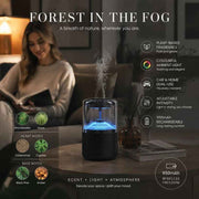 Auto Start-Stop Car Aroma Diffuser XM-ZS44, Misty Forest, Christmas & Father’s Day Gift In Australia - Darrahopens