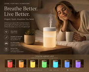 USB Mini Humidifier with Aroma Light, White, Christmas Gift In Australia - Darrahopens