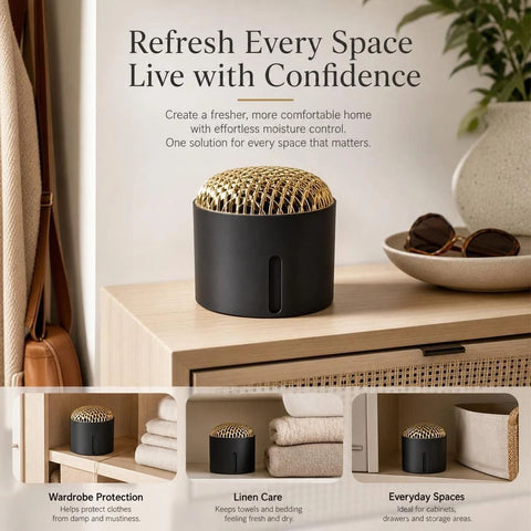 Sleek Black Small Tabletop Humidity Control Box, Sleek Minimal Cabinet Refresh, Anti-Mildew Deodoriser With Matching Desiccant & Scent Pad In Australia - Darrahopens