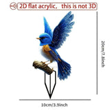 Vivid 2D Flat Acrylic Blue Bird Garden Stake, Wildlife Pot Ornament, Weatherproof Outdoor Decor for Christmas Halloween & Seasonal Yard Display
