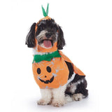 Pet Festival Dress-up Decor, Worn Ornament Suitable for Halloween & Christmas Holiday Gathering, Size M In Australia - Darrahopens