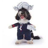 Outdoor Event Apparel For Cats and Dogs, Holiday Decor Wear For Halloween Christmas Festival Gatherings, Size XL In Australia - Darrahopens