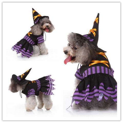 M Size Black Orchid Pet Costume, Fancy Dress for Halloween & Christmas, Lightweight for 3.5-4.5 kg Dogs and Cats In Australia - Darrahopens
