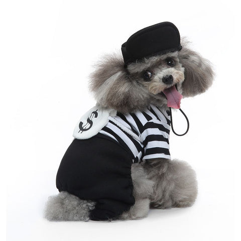 S Size Kaleido Stripe Pet Costume, Fancy Dress for Halloween & Christmas, Lightweight for 2-3 kg Dogs and Cats In Australia - Darrahopens