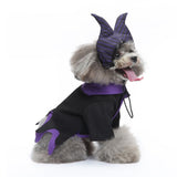M Size Quartz Shadow Pet Costume, Fancy Dress for Halloween & Christmas, Lightweight for 3.5-4.5 kg Dogs and Cats In Australia - Darrahopens