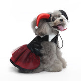 S Size Ruby Spark Pet Costume, Fancy Dress for Halloween & Christmas, Lightweight for 2-3 kg Dogs and Cats
