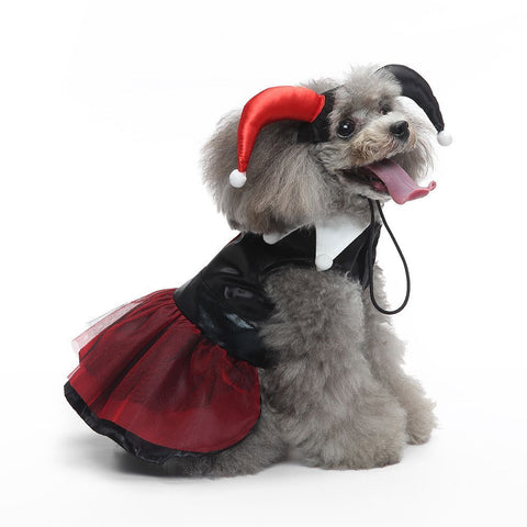 M Size Ruby Spark Pet Costume, Fancy Dress for Halloween & Christmas, Lightweight for 3.5-4.5 kg Dogs and Cats In Australia - Darrahopens