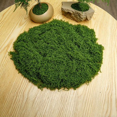 diy artificial moss lawn-Dark Green Filamentous Moss 50g In Australia - Darrahopens