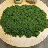 diy artificial moss lawn-Dark Green Filamentous Moss 100g In Australia - Darrahopens